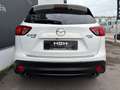 Mazda CX-5 CD150 MIYAKO Edition Aut. / ALLRAD / XENON / NAVI Weiß - thumbnail 7