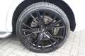 Audi Q3 2.0 TDI quattro S-Line - PANORAMADAK - LEDER - NAV Weiß - thumbnail 10