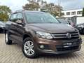 Volkswagen Tiguan Trend & Fun BMT*1.Hand*PDC*SHZ* Braun - thumbnail 3