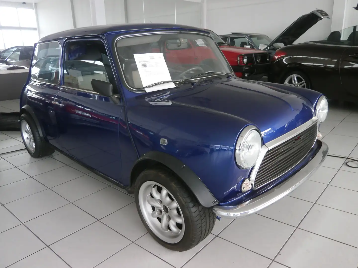 MINI 1000 Albastru - 2