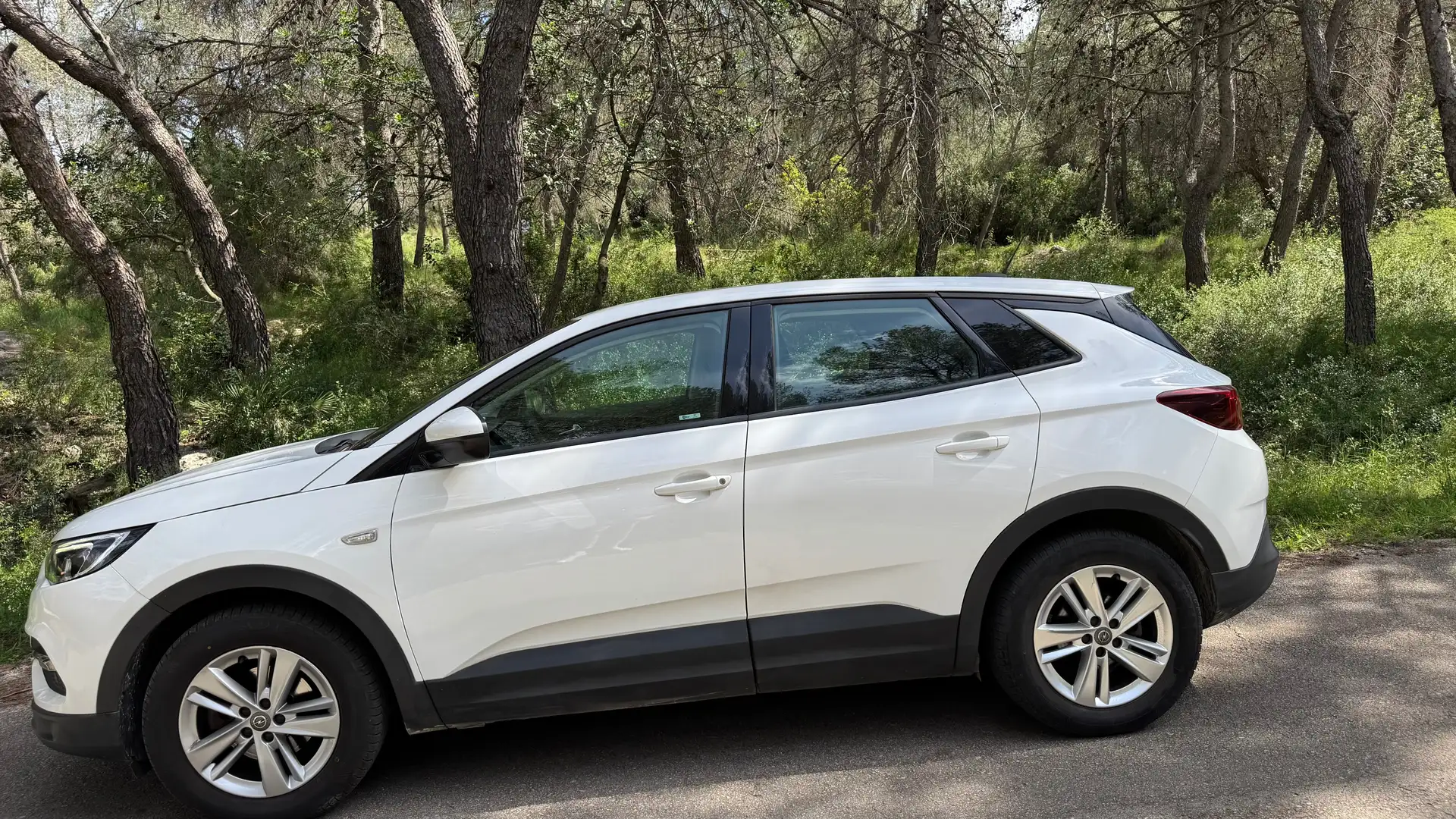 Opel Grandland X Grandland X 1.6CDTi S Blanco - 2