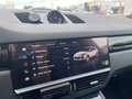 Porsche Cayenne Coupe Platinum Edition/360°/PANO/Leder/ Noir - thumbnail 8