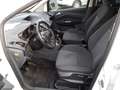 Ford C-Max Champions-Edition 1,0 ECOBoost Weiß - thumbnail 7