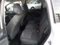 Ford C-Max Champions-Edition 1,0 ECOBoost Weiß - thumbnail 5