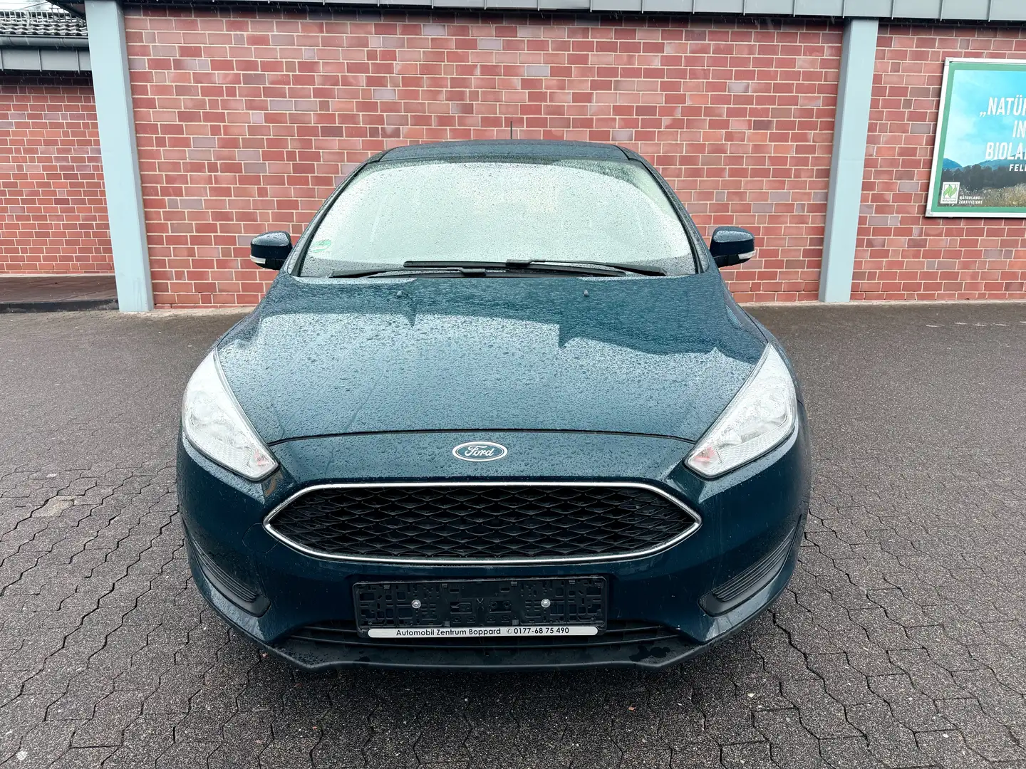 Ford Focus Basis Blu/Azzurro - 1