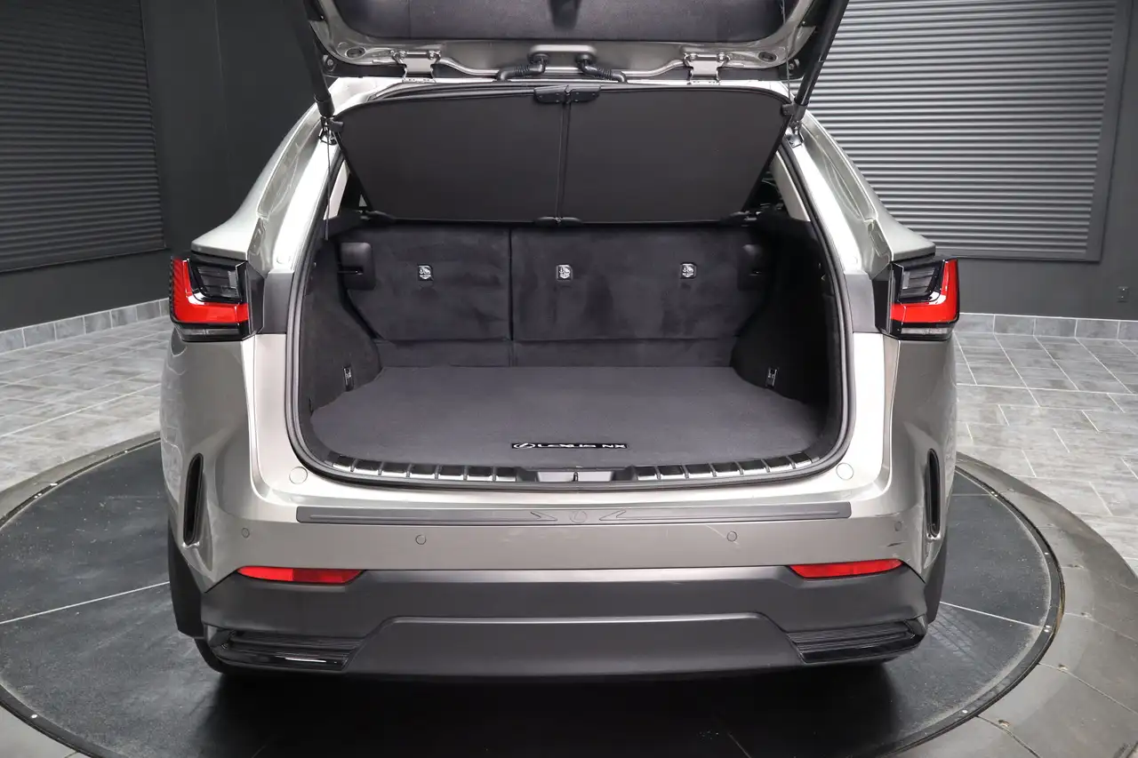 Lexus NX снимка Lexus NX