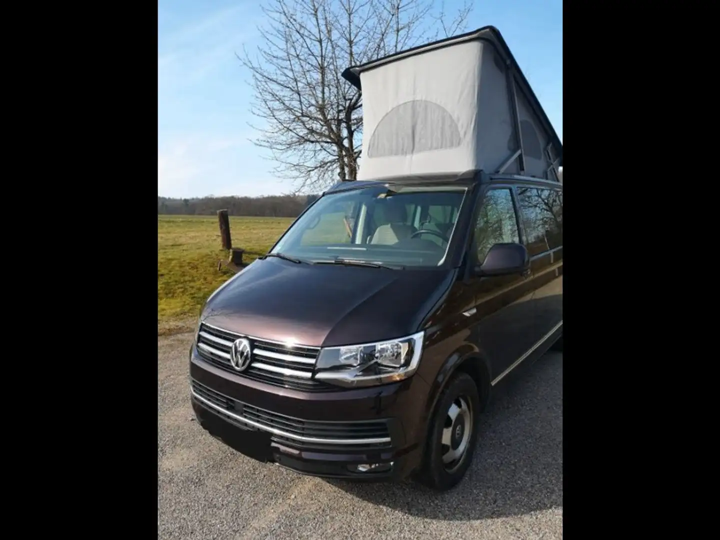 Volkswagen T6 California Ocean BlackBerry - Top - inkl. Zubehör - 1