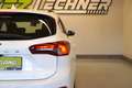 Ford Focus Turnier 1.5 EcoBl. Aut. "SITZH*NAVI*TEMP*R-KAM" Weiß - thumbnail 6