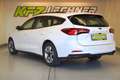 Ford Focus Turnier 1.5 EcoBl. Aut. "SITZH*NAVI*TEMP*R-KAM" Weiß - thumbnail 7