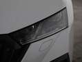 Skoda Octavia RS iV 245 DSG Weiß - thumbnail 22