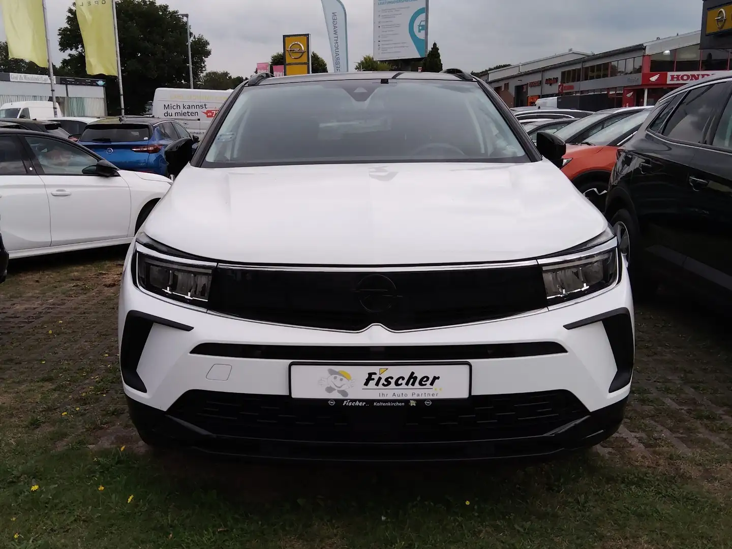 Opel Grandland GS Line / elektr. Heckklappe / beheizbares Lenkrad Weiß - 2