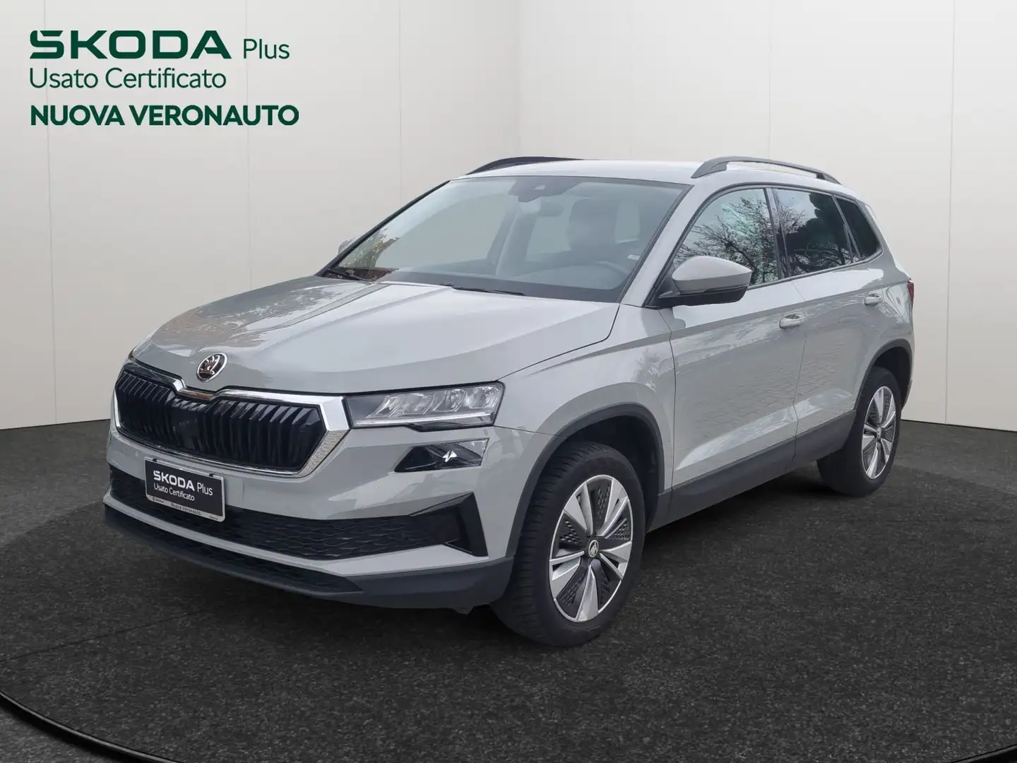 Skoda Karoq Karoq Executive 2.0 TDI 85 kW (115 CV) 7 marce - Grigio - 1