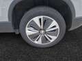 Skoda Karoq Karoq Executive 2.0 TDI 85 kW (115 CV) 7 marce - Grigio - thumbnail 11