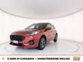 Ford Kuga 1.5 ecoblue st-line x 2wd 120cv auto Orange - thumbnail 1