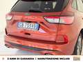 Ford Kuga 1.5 ecoblue st-line x 2wd 120cv auto Orange - thumbnail 18