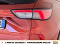 Ford Kuga 1.5 ecoblue st-line x 2wd 120cv auto Orange - thumbnail 17