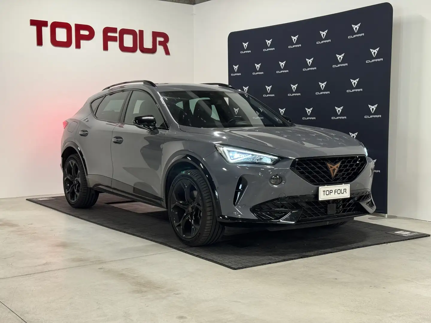 CUPRA Formentor Formentor 2.0 TDI 4Drive DSG Grigio - 1