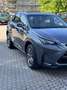 Lexus NX 300h Grigio - thumbnail 5