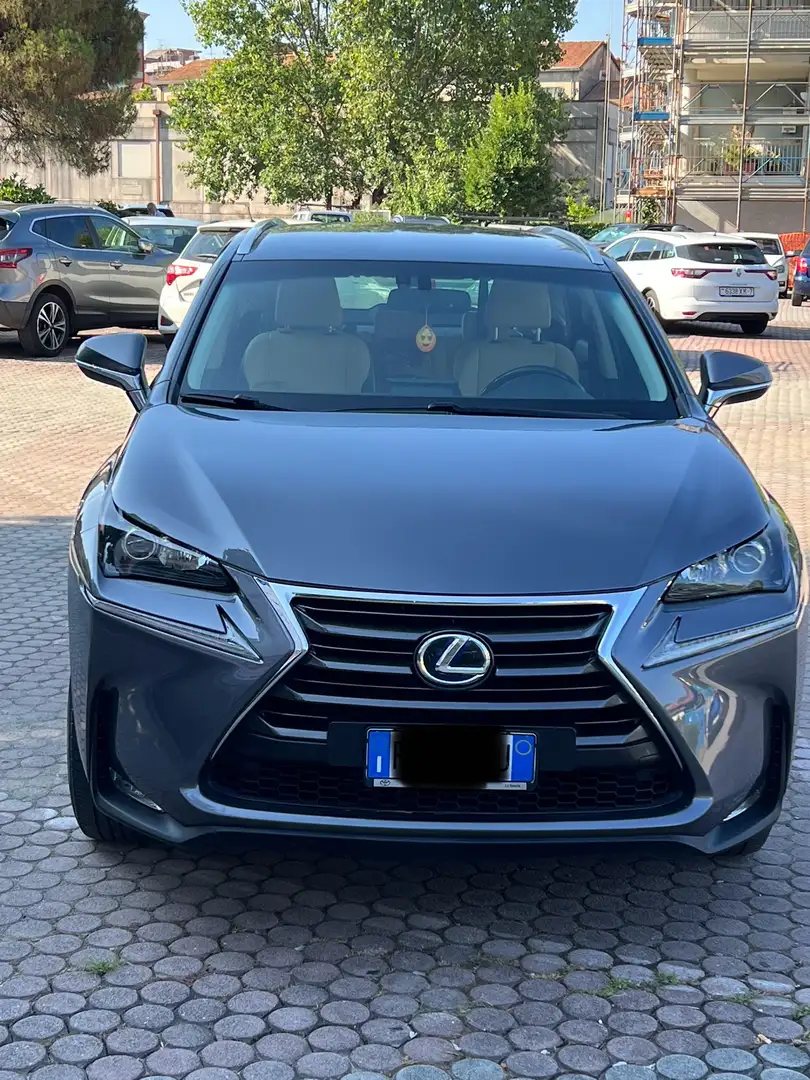 Lexus NX 300h Grigio - 1