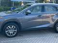 Lexus NX 300h Grigio - thumbnail 7