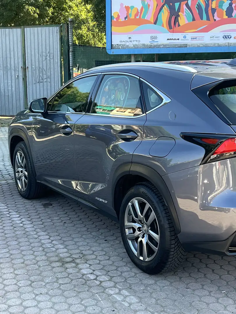Lexus NX 300h Grigio - 2