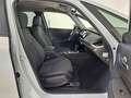 Honda Jazz 1,5 i-MMD Hybrid Advance Aut. | Auto Stahl Wien 22 Білий - thumbnail 5
