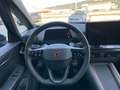 CUPRA Born VZ 240kW 79kwh Groen - thumbnail 13