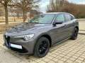 Alfa Romeo Stelvio Stelvio B-Tech 2,0 ATX AWD B-Tech Grau - thumbnail 8
