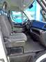 Iveco Daily 35C14 Hi-Matic natural power doppia cabina telaio Bianco - thumbnail 13