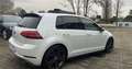 Volkswagen Golf GTI 2.0 tsi Gti Performance 245cv dsg tetto 18" Blanc - thumbnail 7