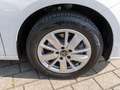 Volkswagen Caddy Life 1.5 TSI LED Navi RFK SHZ AHK Weiß - thumbnail 9