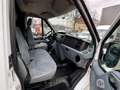 Ford Transit Kasten FT 350 HOCH & LANG KLIMA H.REGALE Weiß - thumbnail 12