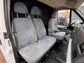 Ford Transit Kasten FT 350 HOCH & LANG KLIMA H.REGALE Weiß - thumbnail 13