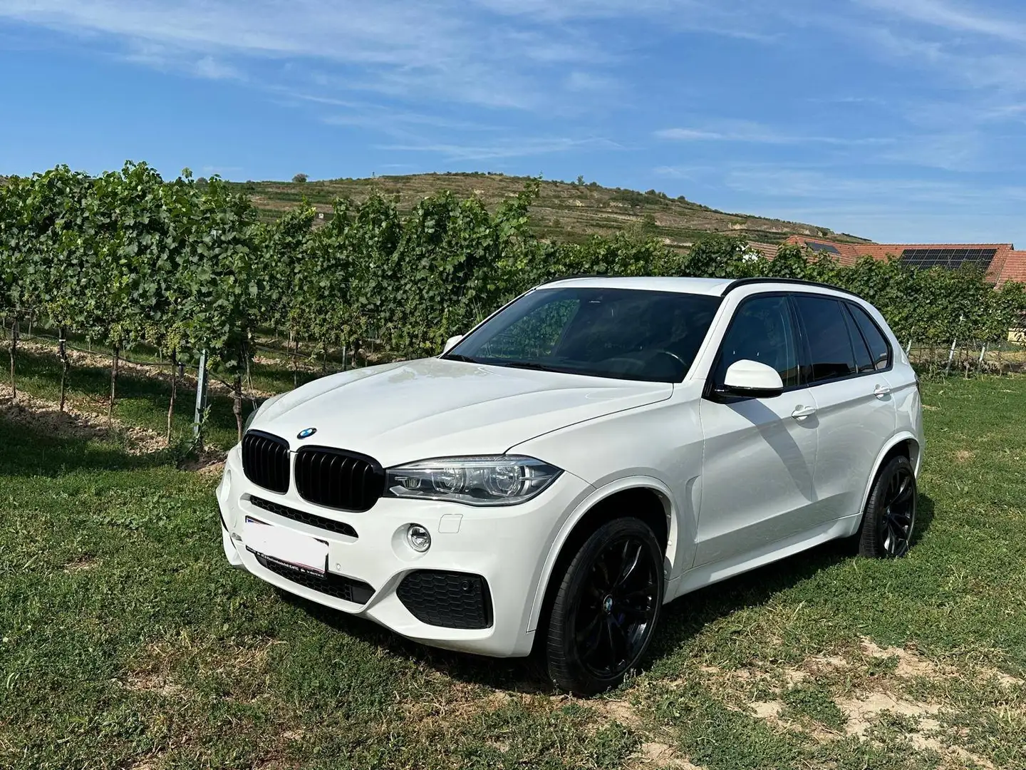 BMW X5 xDrive30d Sportpaket u. Soundsystem... Weiß - 1
