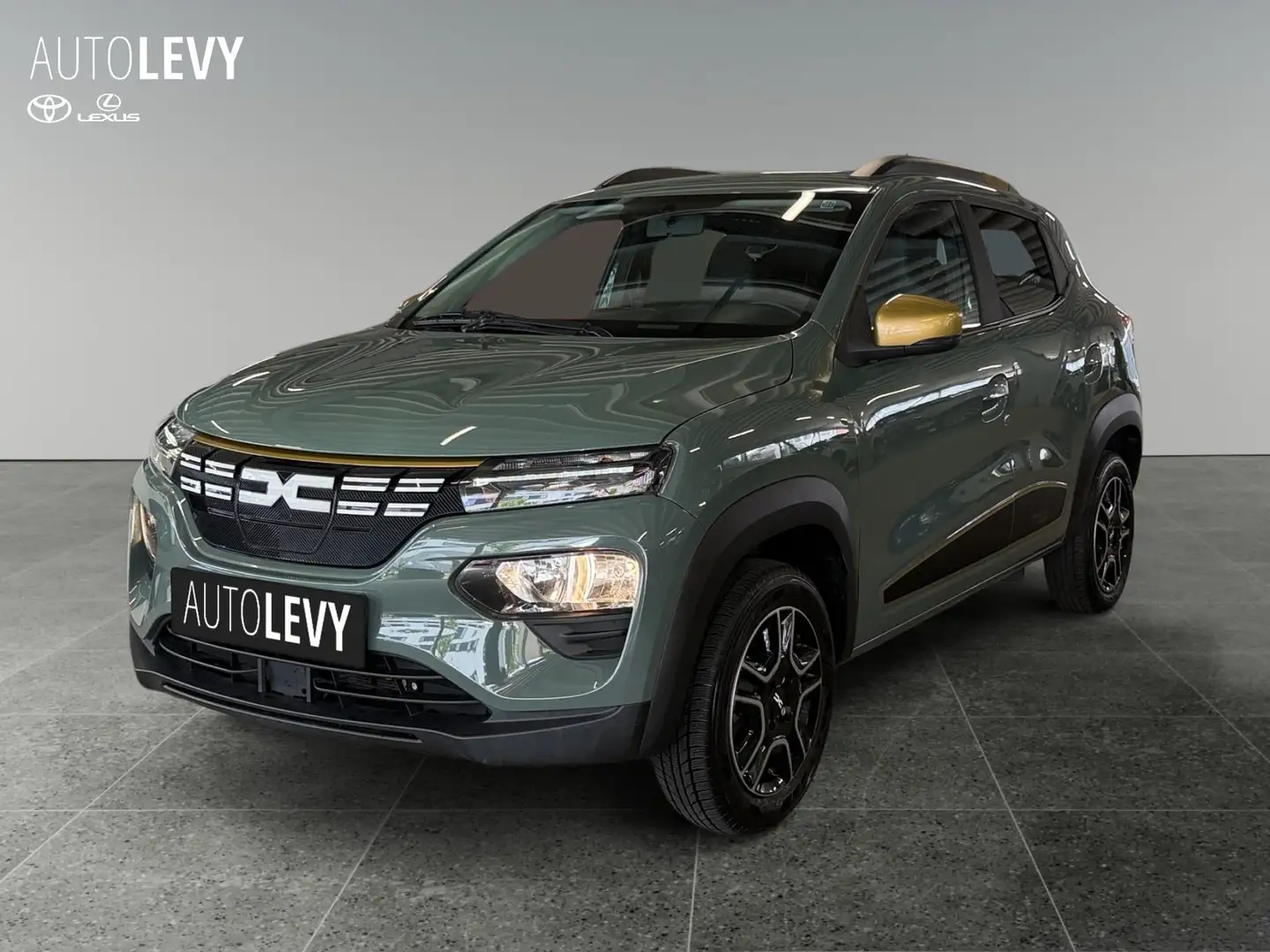 Dacia Spring Electric +Kamera+CarPlay+PDC+NAVI+ Grün - 2