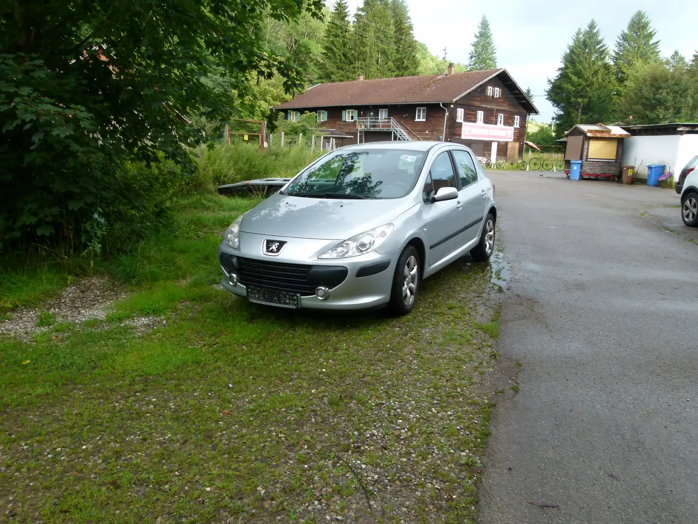 Peugeot 307 140 Sport Srebrny - 1