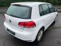 Volkswagen Golf Sky 1,6 TDI DPF,Telefonnummer;0650/8616147 Blanc - thumbnail 10