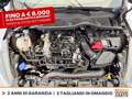Ford Fiesta 5p 1.0 ecoboost h st-line 125cv Nero - thumbnail 12