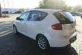 SEAT Altea 5P 1,2 Benzin Blanc - thumbnail 4