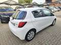Toyota Yaris Yaris 1.0 5 porte Blanco - thumbnail 4