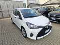 Toyota Yaris Yaris 1.0 5 porte Blanco - thumbnail 3