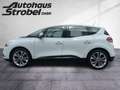 Renault Scenic 1.2 TCe Energy Experience Pano Klima Temp Weiß - thumbnail 4