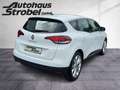 Renault Scenic 1.2 TCe Energy Experience Pano Klima Temp Weiß - thumbnail 6