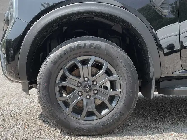 Ford Ranger view 9