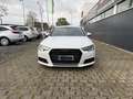 Audi A4 Avant 2.0 quattro sport*S-Line* Weiß - thumbnail 10