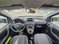 Fiat Panda Panda 1.2 69cv Nero - thumbnail 7