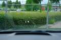 Volvo S90 2.0 T5 254pk Inscription Aut. Pano|Bower&Wilkins|L Gri - thumbnail 17