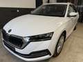 Skoda Octavia Combi 2,0 TDI Style DSG *LED*ACC*AHK*Standheizu... Weiß - thumbnail 2