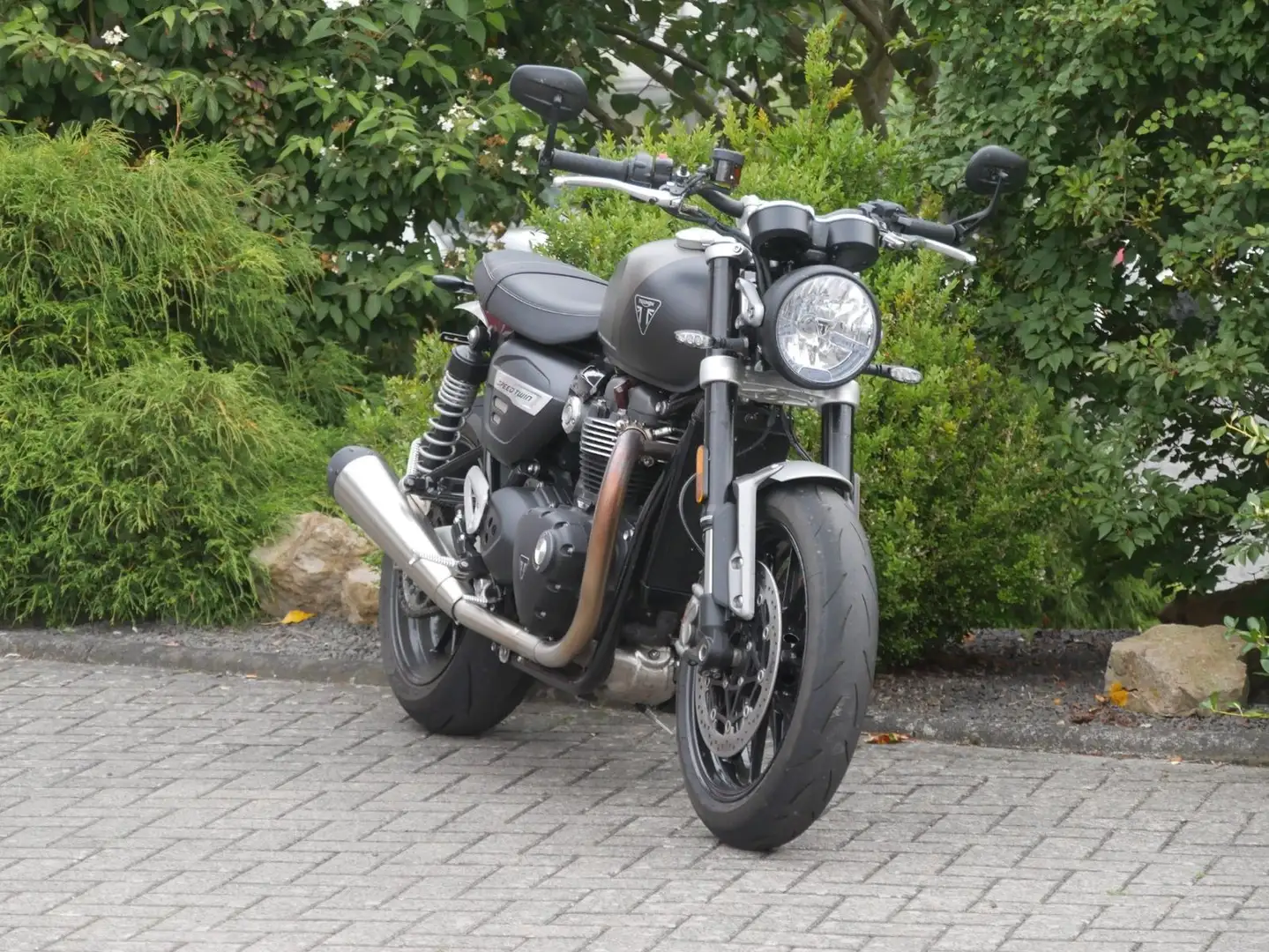 Triumph Speed Twin 1200 Сірий - 2