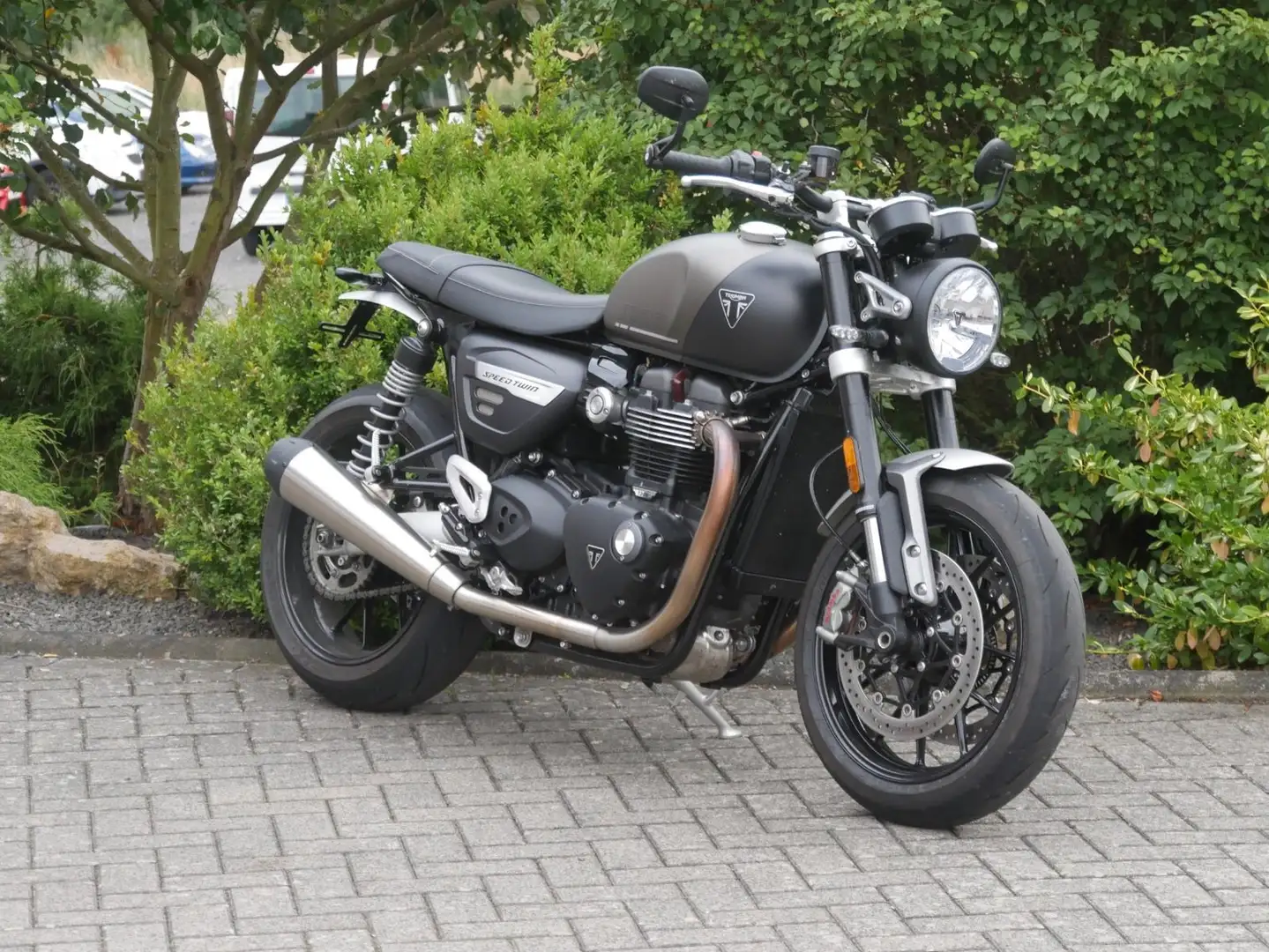 Triumph Speed Twin 1200 Сірий - 1
